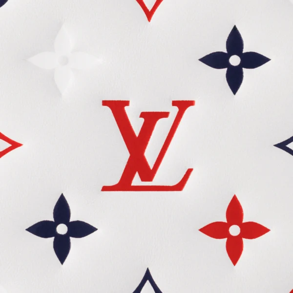 7 Louis Vuitton / LV Coussin PM M23466