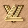 Louis Vuitton / LV Twist MM M21120