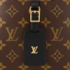 Louis Vuitton / LV Odéon PM M45353