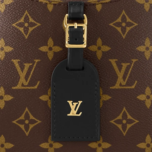 Louis Vuitton / LV Odéon PM M45353