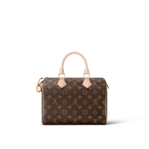Louis Vuitton / LV Speedy 25 M41109