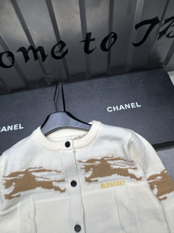 Burberry 20260102007085