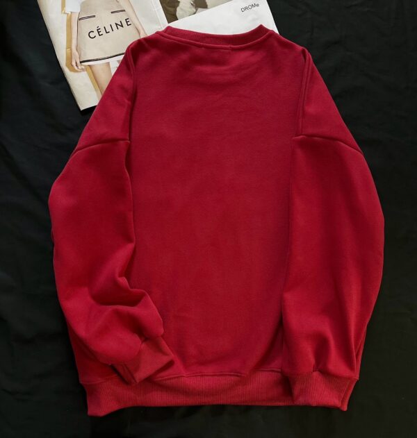 minority 20260116045085