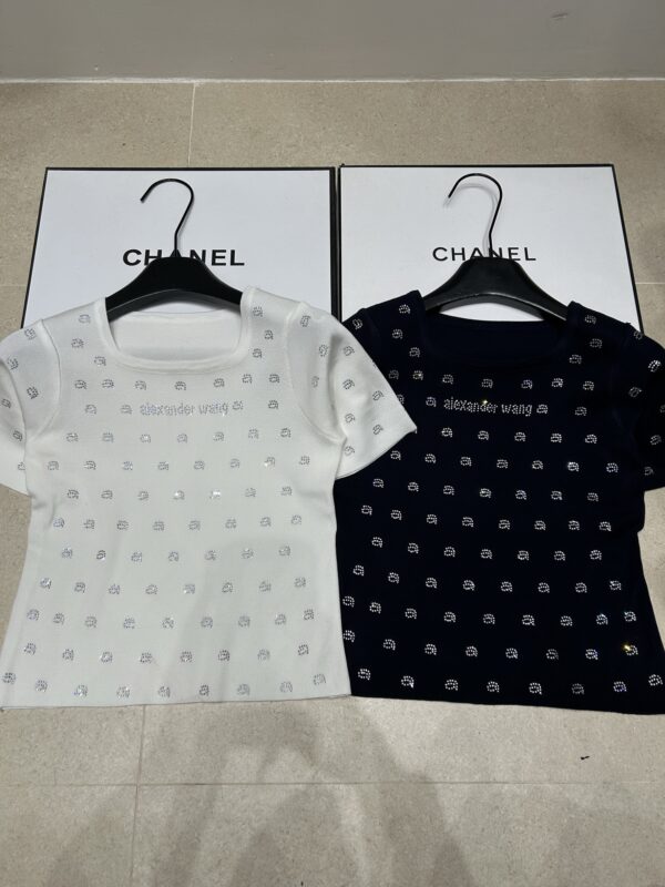 Alexander Wang20260301034085